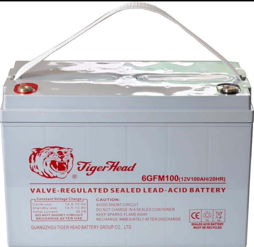 12v 100ah tiger head
