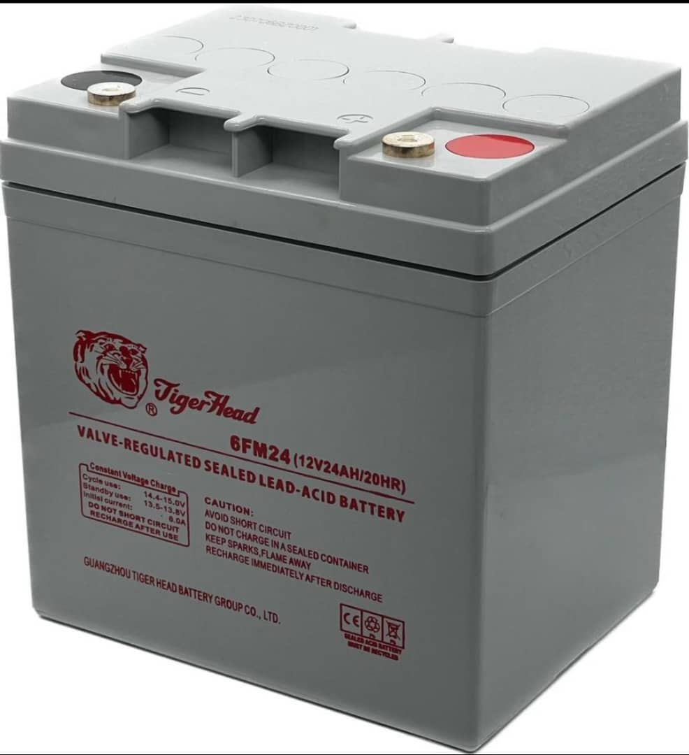 12v 24ah tiger head